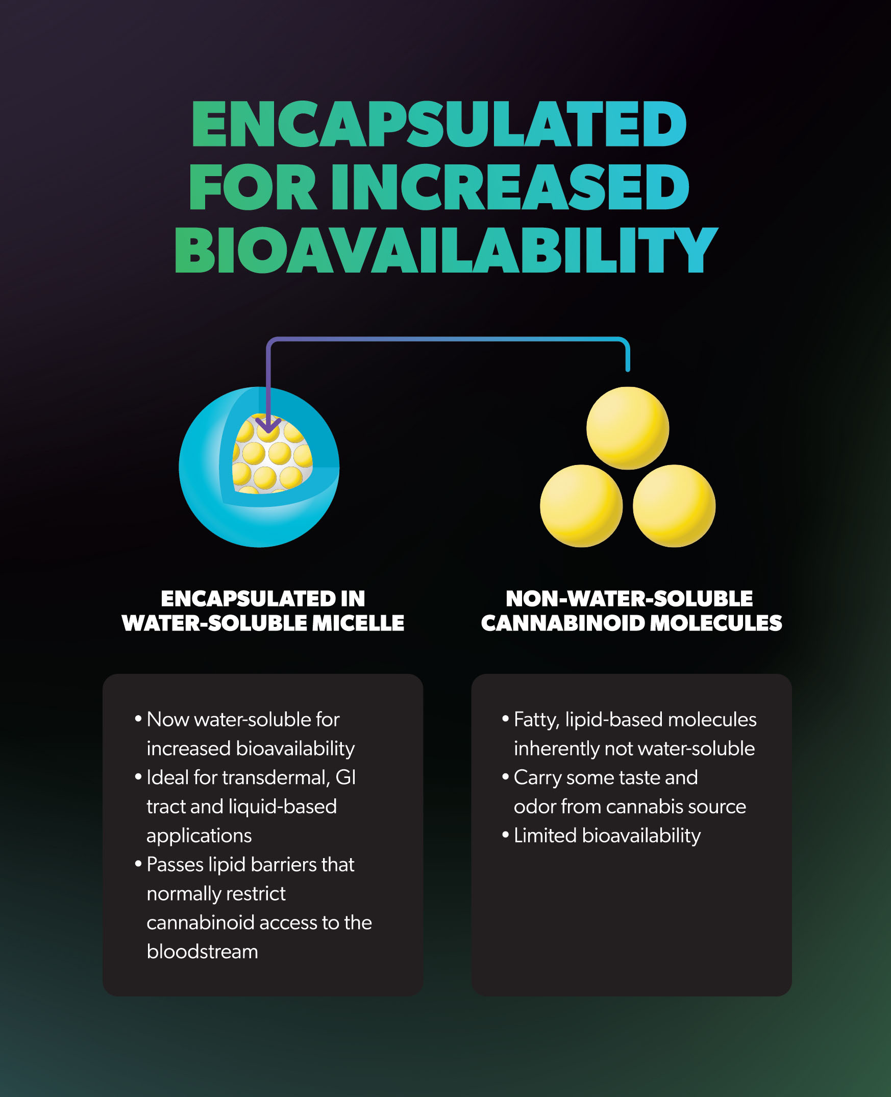 Encapsulated Bioavailability information