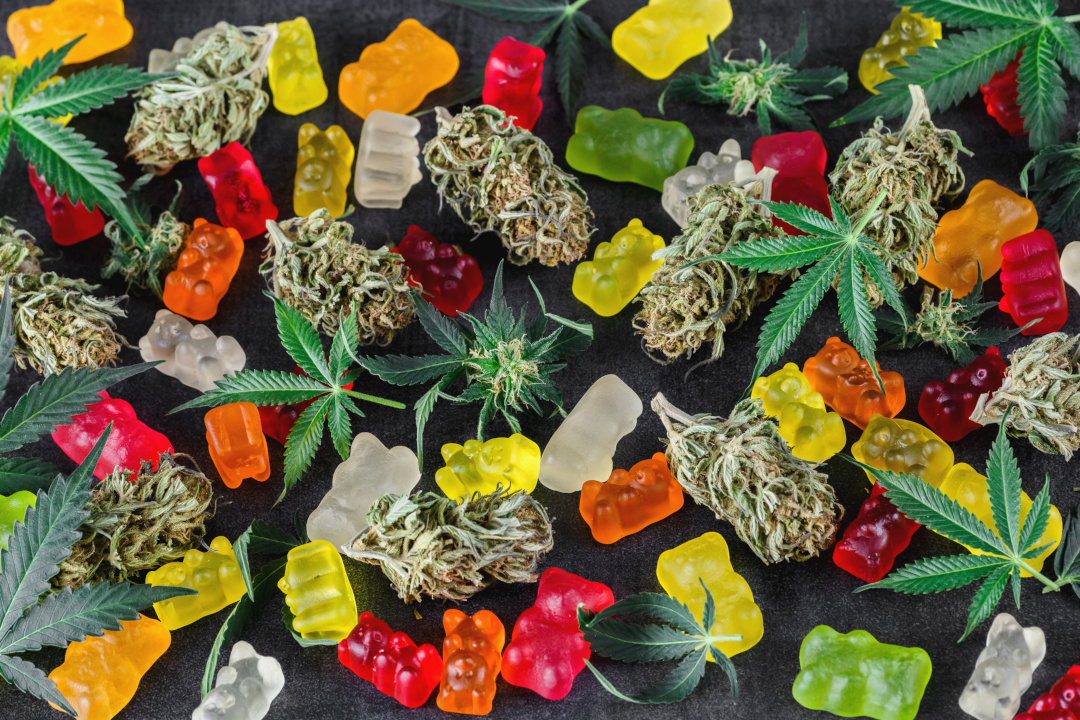 Featured image for “Crafting Premium Edibles: How We Set the Bar”